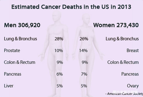 15张图带你深度了解癌症