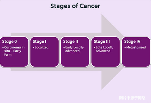 15张图带你深度了解癌症